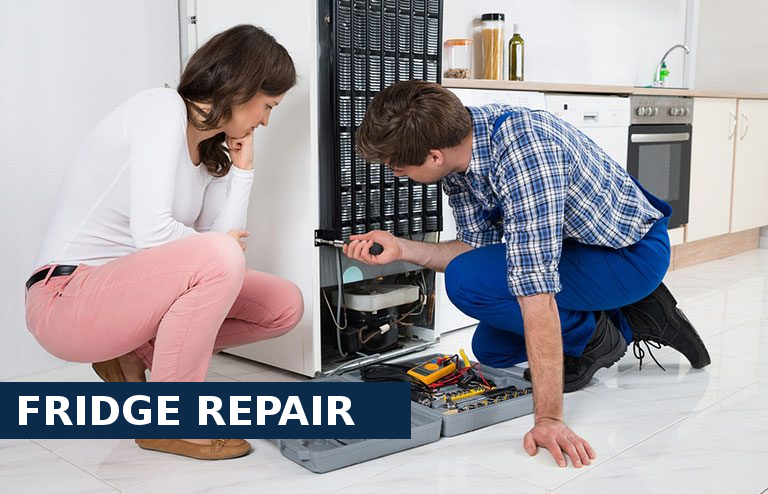 Fridge Repair Thornton Heath